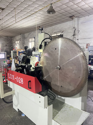 LDX-028A Large CNC Alloy Saw Blade Double Grinding Head Side Angle Gear Grinding Machine
