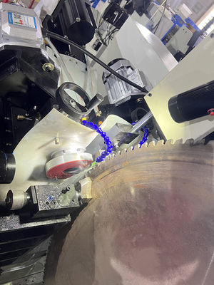 LDX-028A Three-Axis / Five-Axis CNC Circular Saw Blade Double Grinding Head Side Angle Gear Grinding Machine